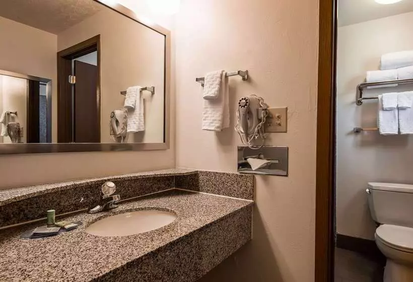 Отель Best Western Paradise Inn