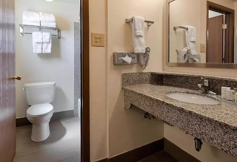 Отель Best Western Paradise Inn