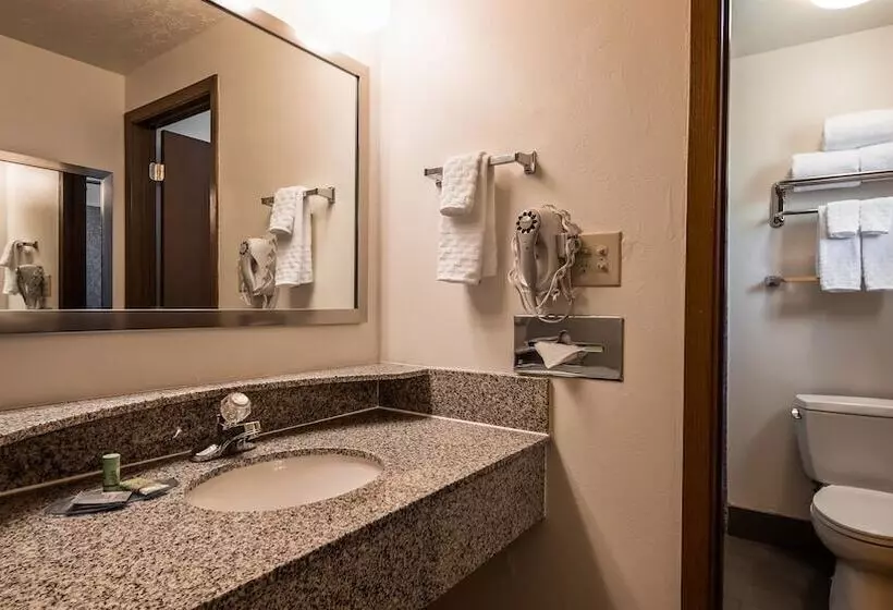 Отель Best Western Paradise Inn