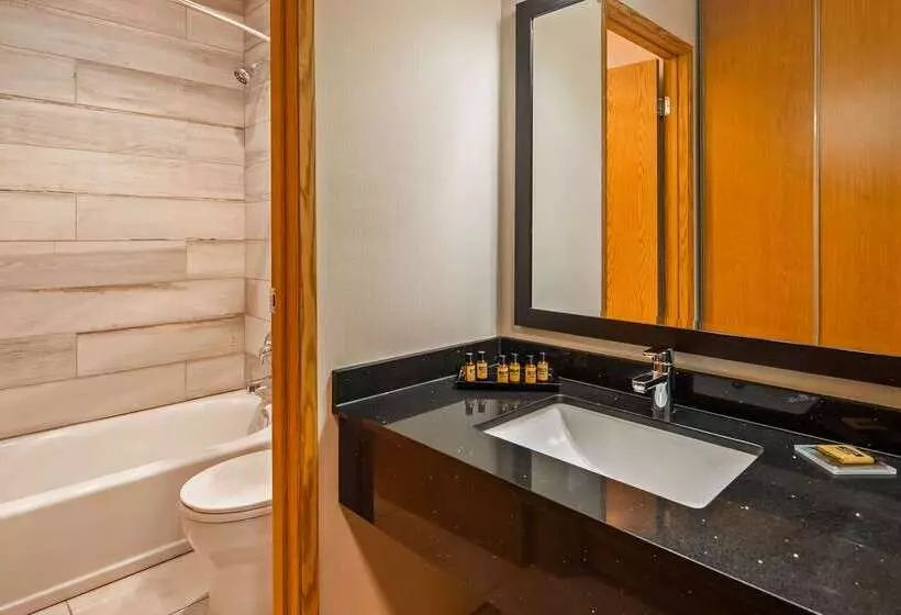 ホテル Best Western Plus Country Meadows Inn