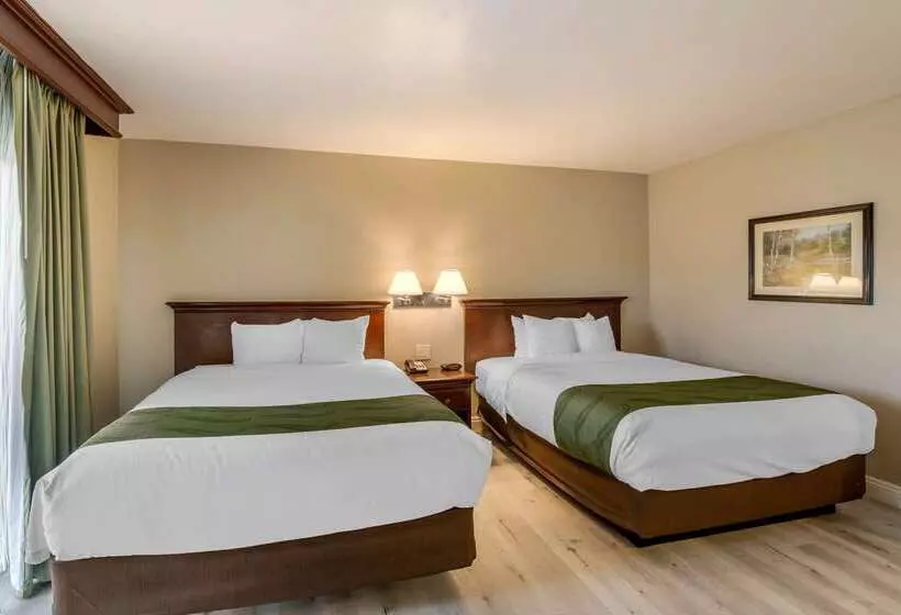 ホテル Clarion Pointe El Cajon San Diego East