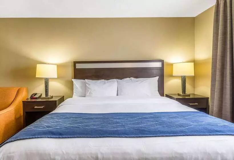 酒店 Comfort Inn