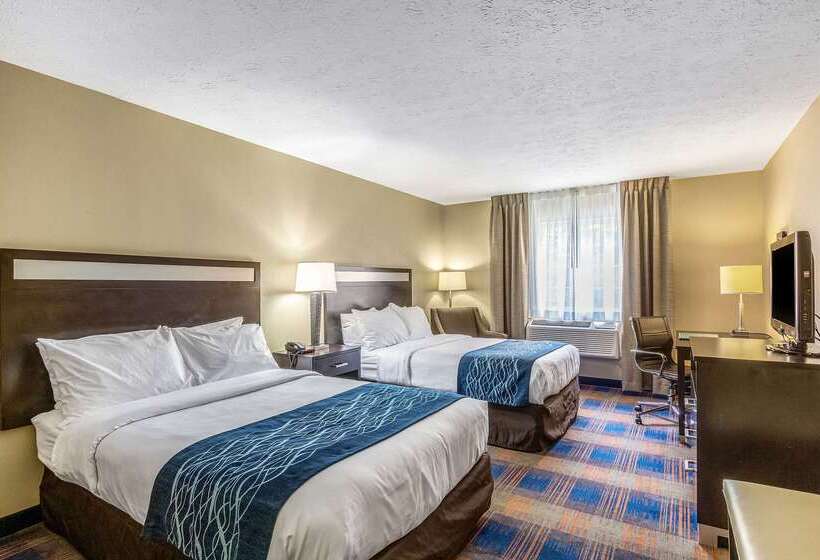 בית מלון כפרי Comfort Inn