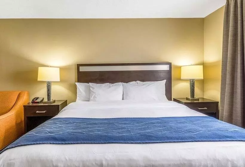 酒店 Comfort Inn