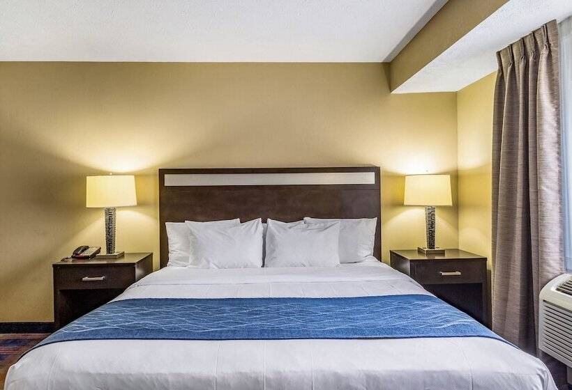 בית מלון כפרי Comfort Inn