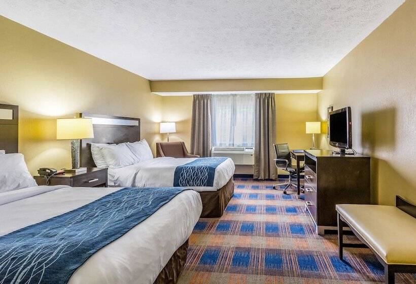 בית מלון כפרי Comfort Inn