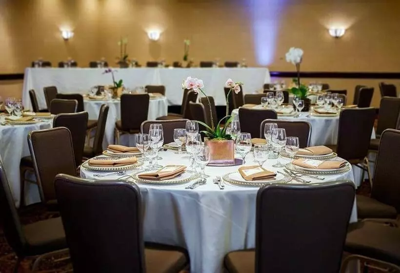 Отель Concord Plaza