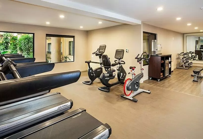 Отель Concord Plaza