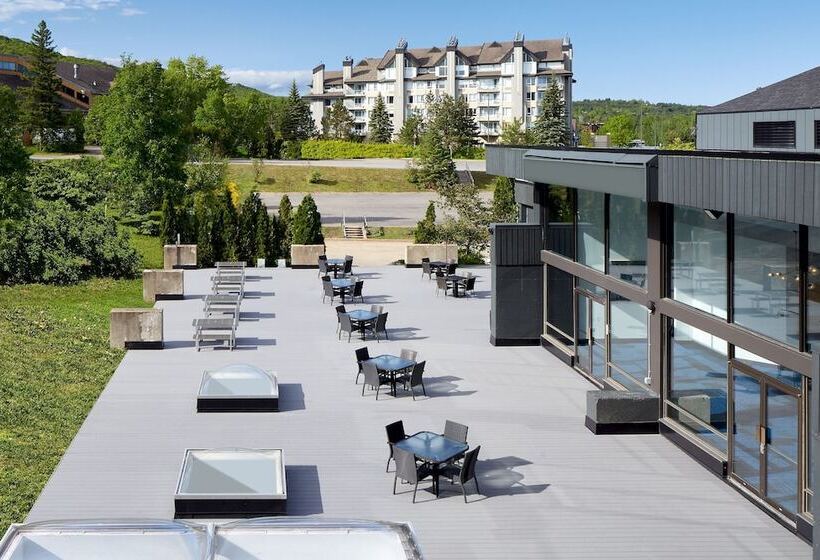 Delta Hotels By Marriott Mont Sainte Anne, Resort & Convention Center