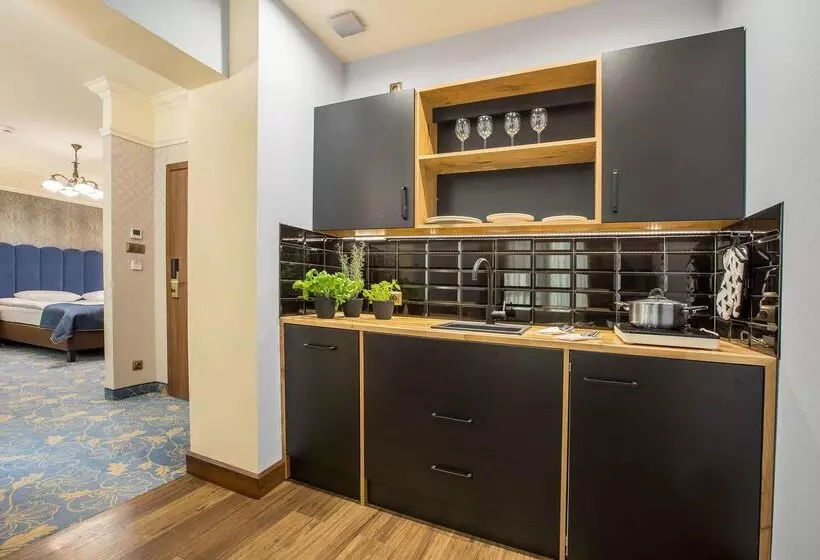 فندق Diament Plaza Gliwice