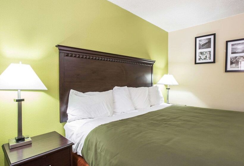 בית מלון כפרי Econo Lodge Biltmore