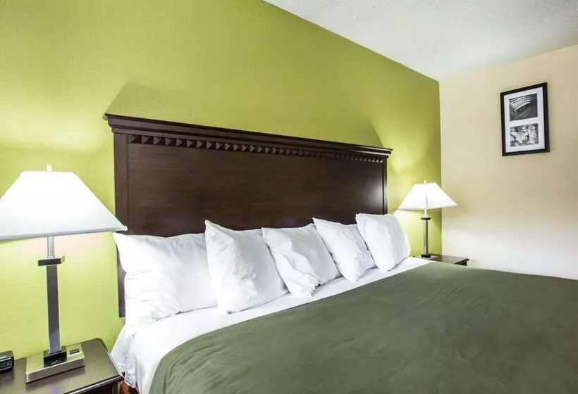 ホテル Econo Lodge Biltmore