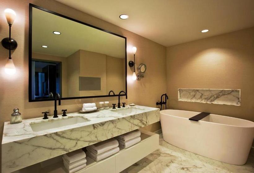 酒店 Loews Regency New York