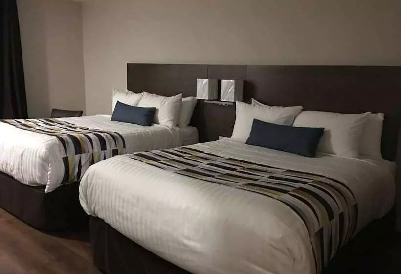 בית מלון כפרי Auberge La Diligence