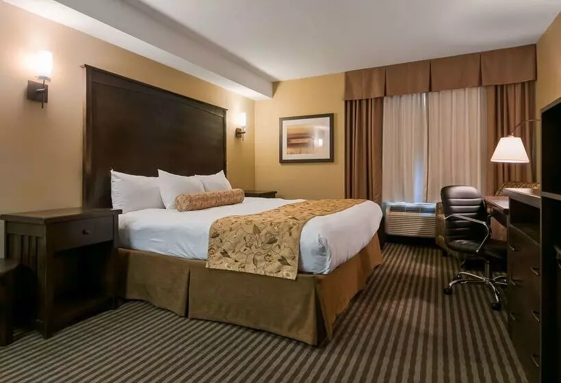 فندق Best Western Maple Ridge