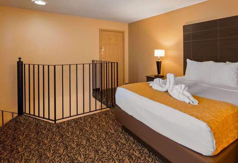 فندق Best Western Toni Inn