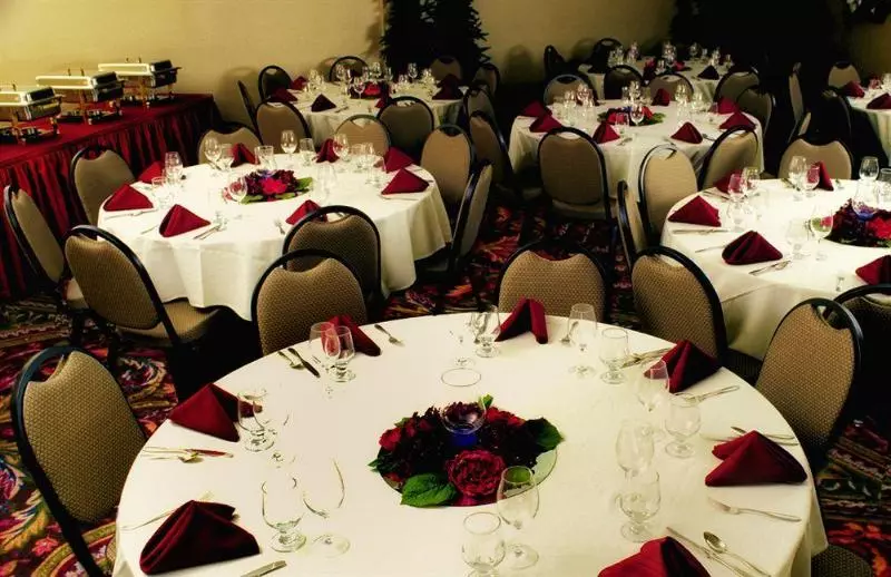 Centerstone Plaza Hotel Soldiers Field   Mayo Clinic Area