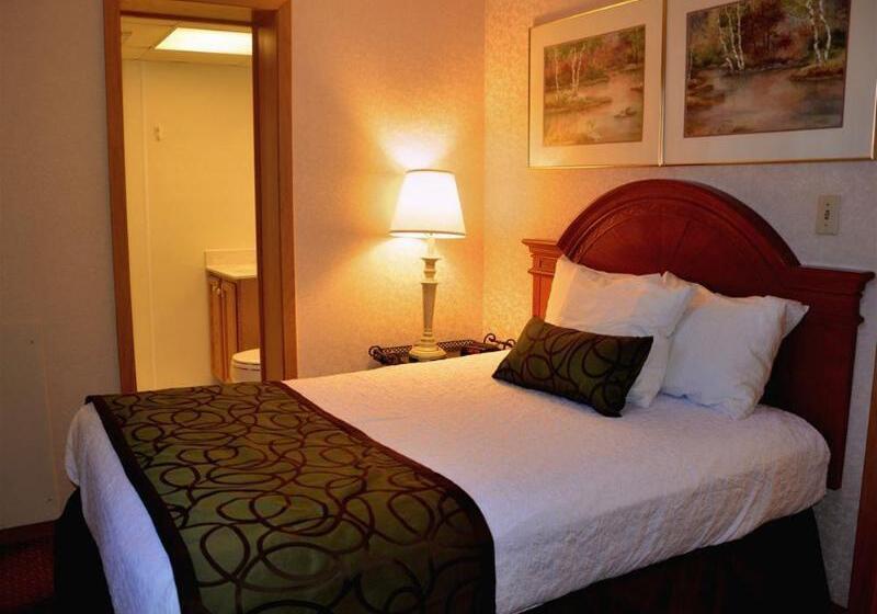 Centerstone Plaza Hotel Soldiers Field Mayo Clinic Area