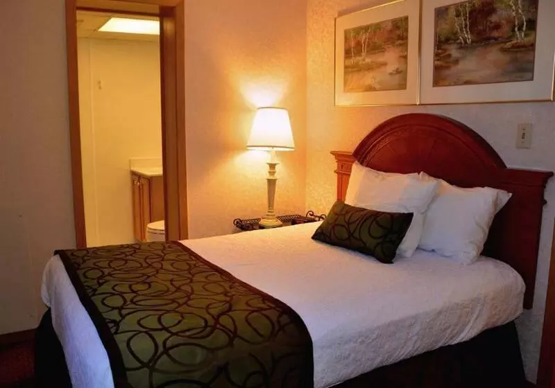 Centerstone Plaza Hotel Soldiers Field   Mayo Clinic Area