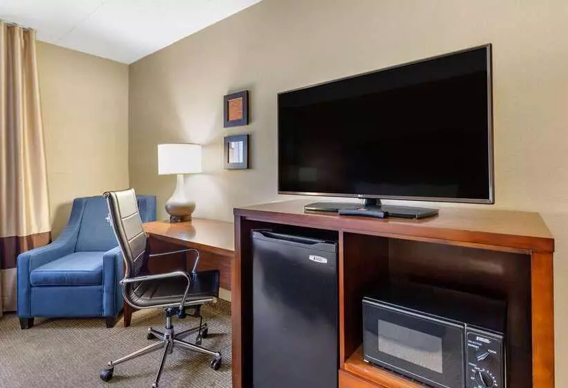 酒店 Comfort Inn Aikens Center