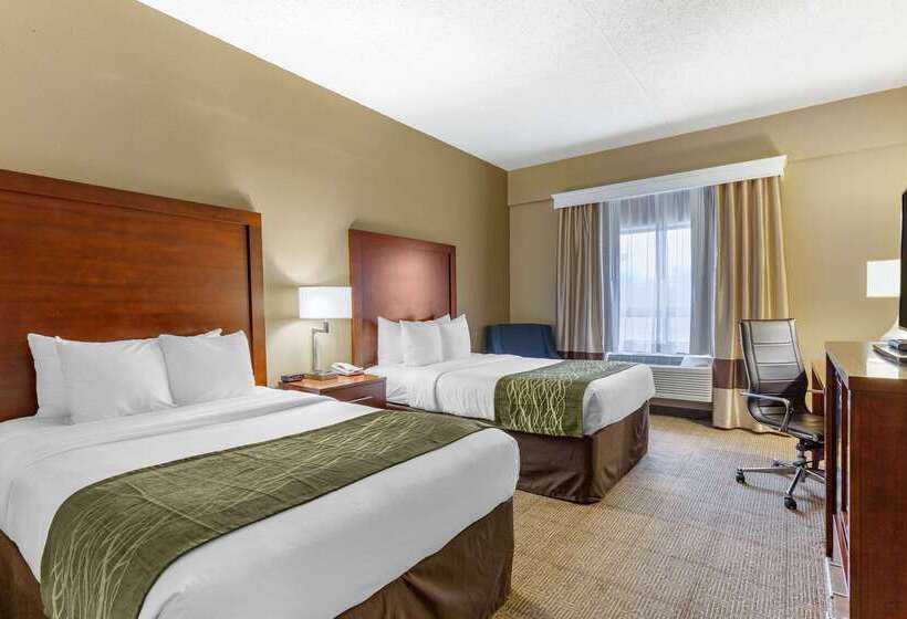 هتل Comfort Inn Aikens Center