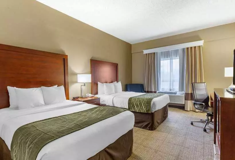 酒店 Comfort Inn Aikens Center