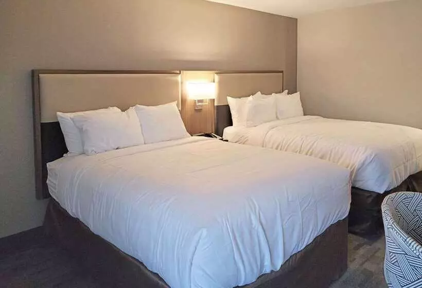 هتل Comfort Inn & Suites Wyomissing Reading