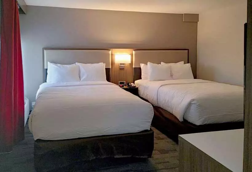 هتل Comfort Inn & Suites Wyomissing Reading
