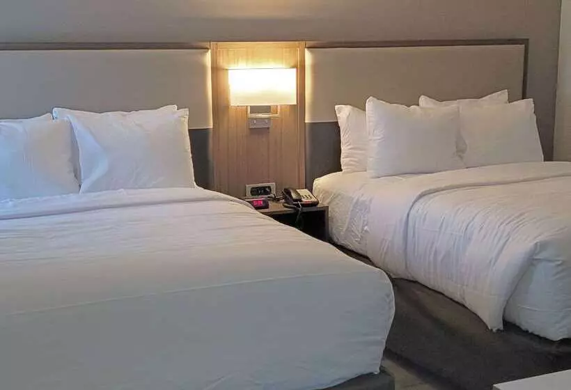 هتل Comfort Inn & Suites Wyomissing Reading