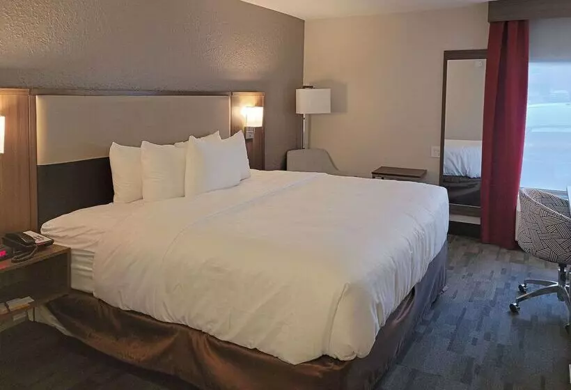 هتل Comfort Inn & Suites Wyomissing Reading
