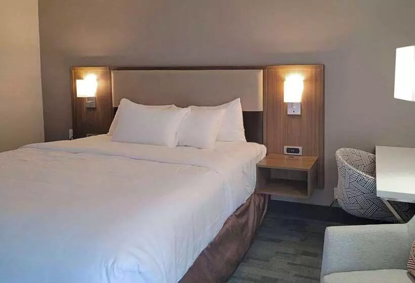 هتل Comfort Inn & Suites Wyomissing Reading