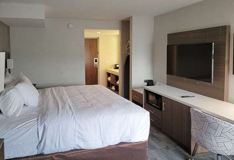 호텔 Comfort Inn & Suites Wyomissing Reading