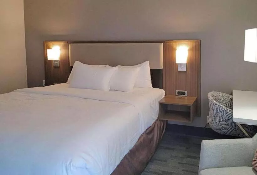 هتل Comfort Inn & Suites Wyomissing Reading