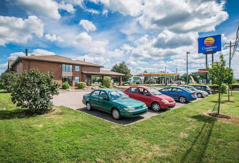 فندق Comfort Inn