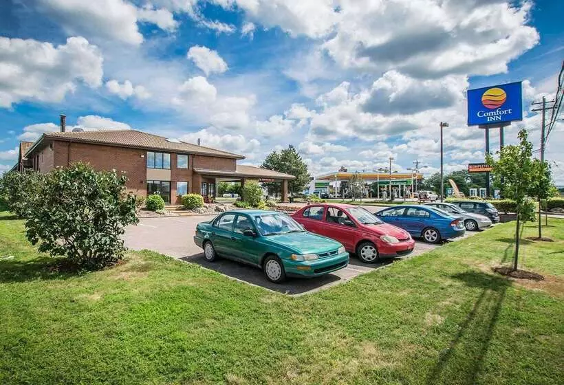 Отель Comfort Inn