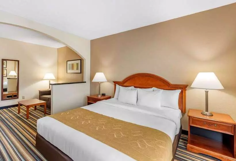 ホテル Comfort Suites Chesapeake  Norfolk