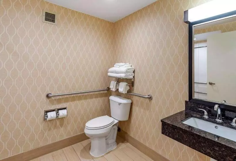 ホテル Comfort Suites Chesapeake  Norfolk