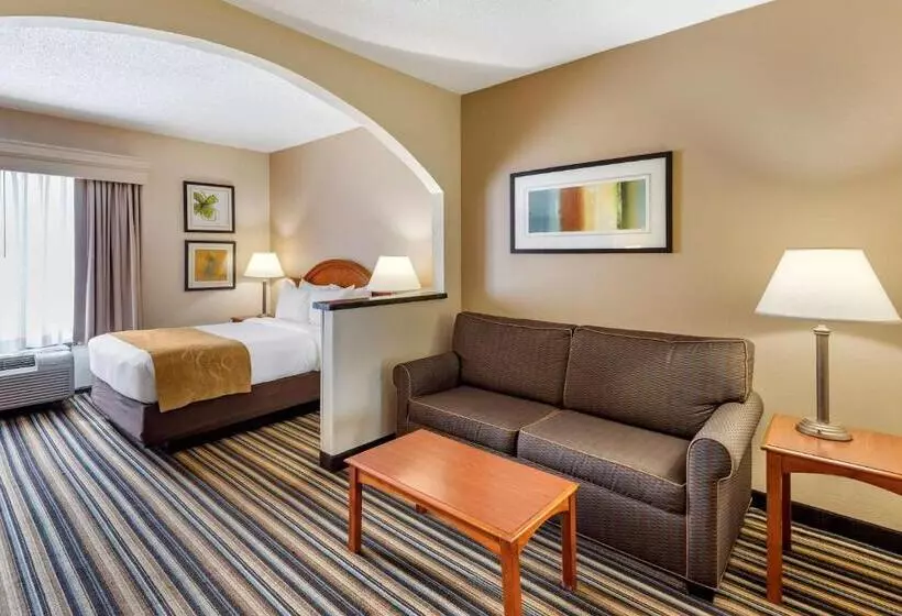ホテル Comfort Suites Chesapeake  Norfolk