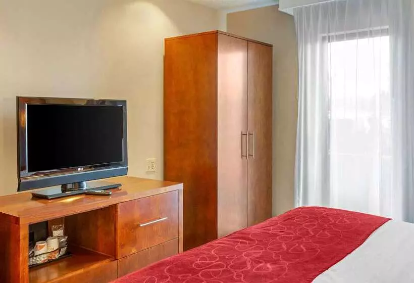 호텔 Comfort Suites Oakbrook Terrace Near Oakbrook Center