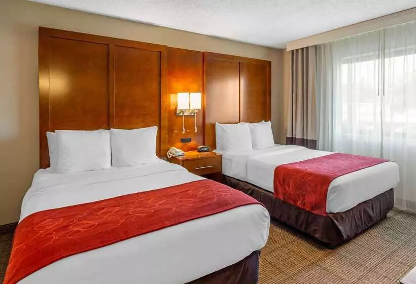 호텔 Comfort Suites Oakbrook Terrace Near Oakbrook Center