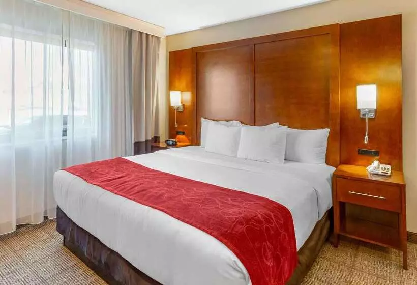 호텔 Comfort Suites Oakbrook Terrace Near Oakbrook Center