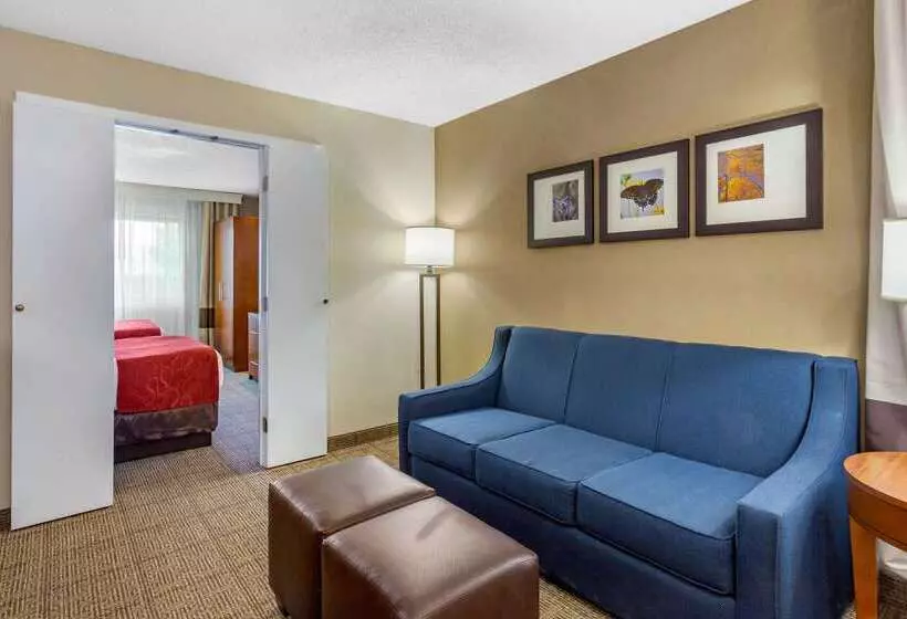 호텔 Comfort Suites Oakbrook Terrace Near Oakbrook Center