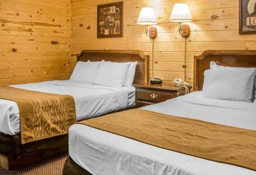 호텔 Econo Lodge Bayview