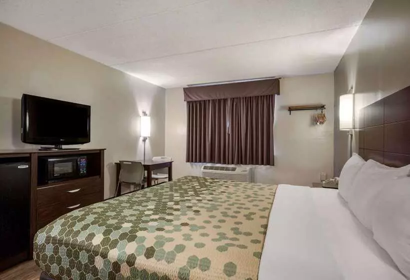 Otel Econo Lodge Darien Lakes