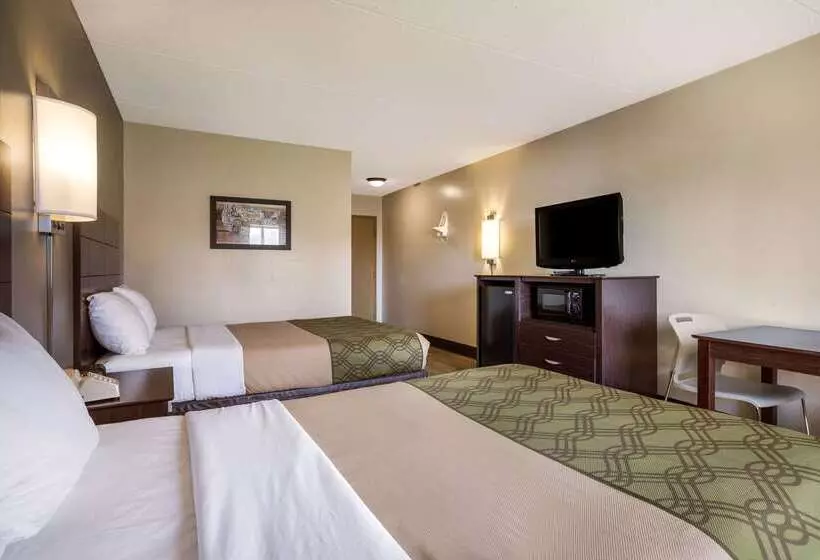 Otel Econo Lodge Darien Lakes