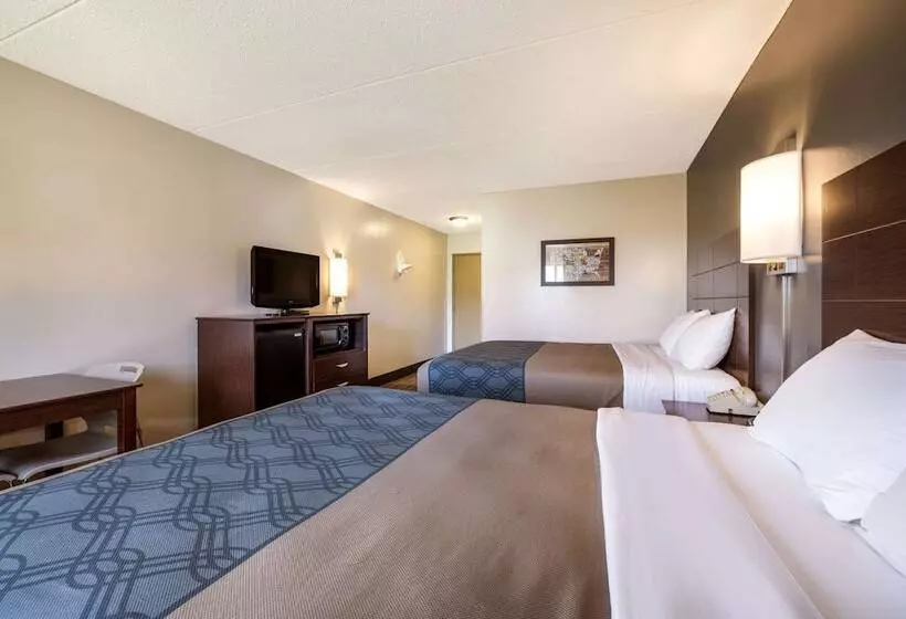 Otel Econo Lodge Darien Lakes