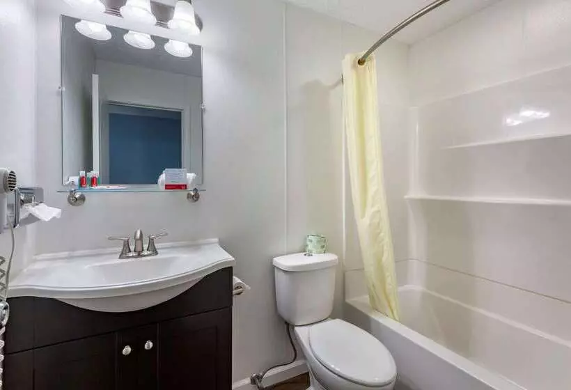 בית מלון כפרי Econo Lodge Inn & Suites South