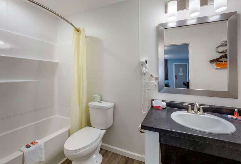 هتل Econo Lodge Inn & Suites South