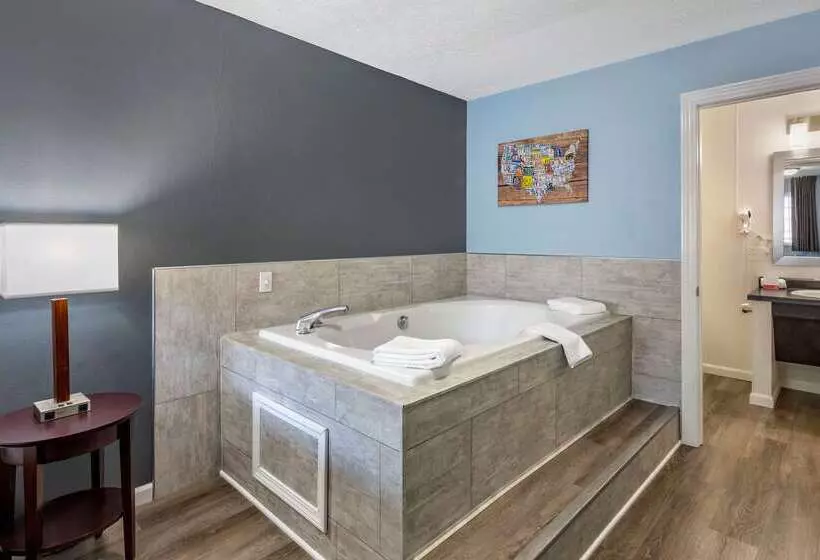 בית מלון כפרי Econo Lodge Inn & Suites South