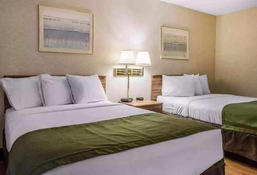 ホテル Quality Inn Arena